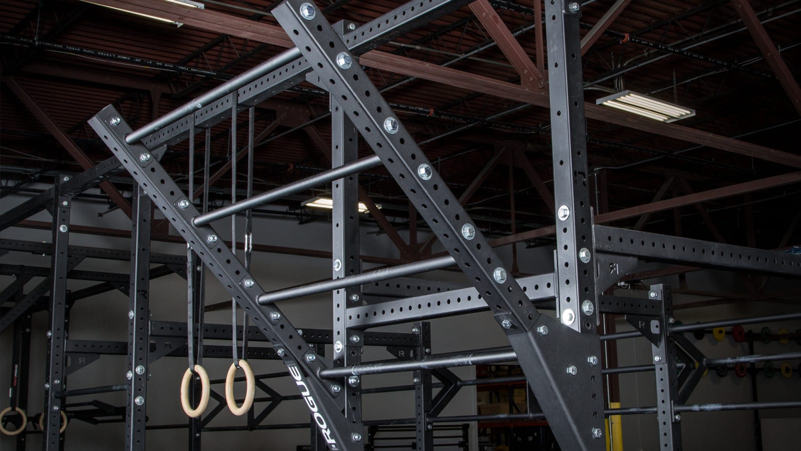Rogue flying pull up bar store